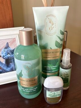 Bath & Body Works Stress Relief Eucalyptus + Spearmint Set – Green